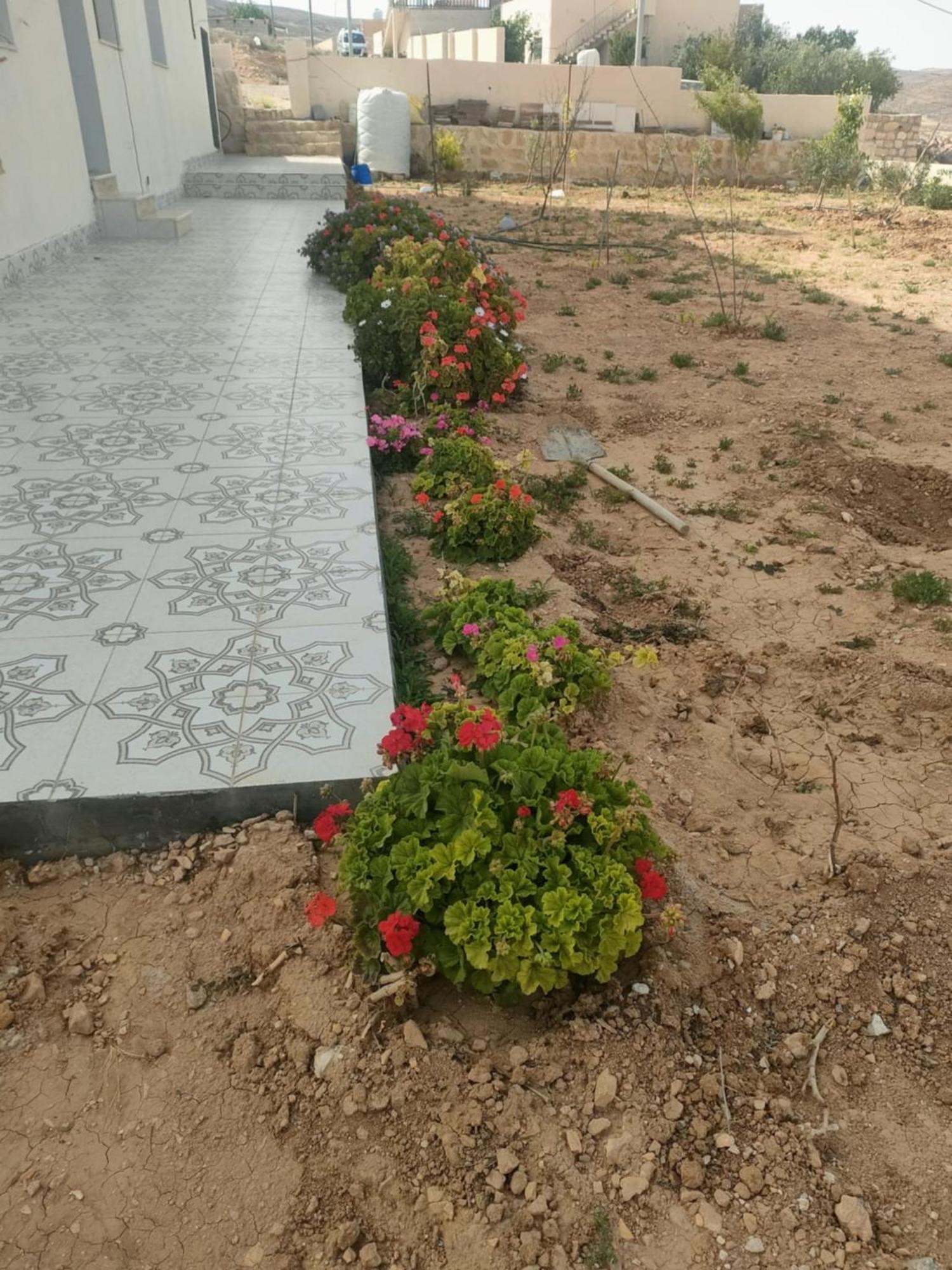 Darkum Apartment Wadi Musa Exterior foto