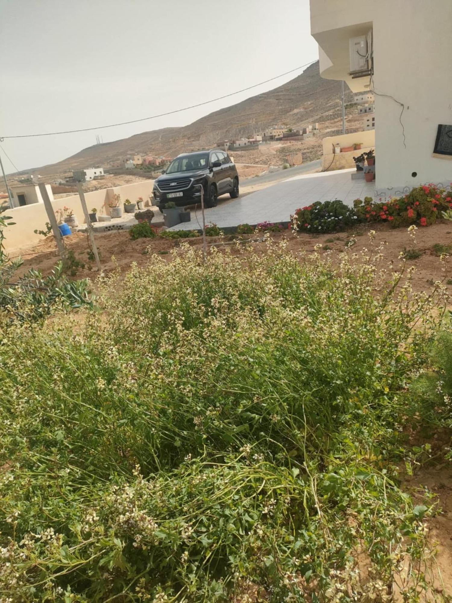 Darkum Apartment Wadi Musa Exterior foto